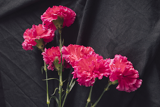 В возрасте 77 лет от рака умер советский художник театра и кино Назим Бейкишиев