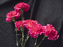 В возрасте 77 лет от рака умер советский художник театра и кино Назим Бейкишиев