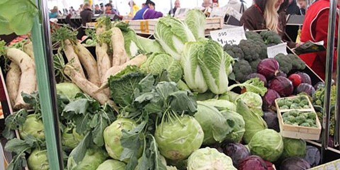 Турецкий лук, брокколи и цветная капуста вернутся на российские прилавки