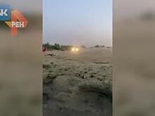 ВИДЕО: Мчавшаяся по пляжу в Подмосковье машина чуть не сбила отдыхающих