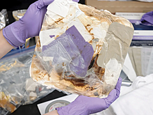 Для космонавтов сделали мусороуплотнитель