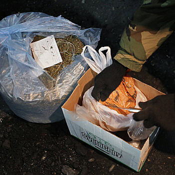 Легализация? Украинские пограничники беспрепятственно пропускают в РФ марихуану