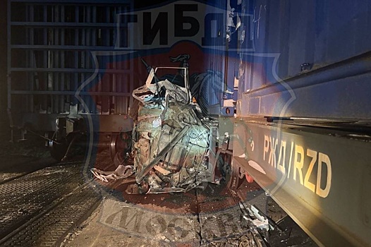 В Москве два поезда раздавили машину каршеринга