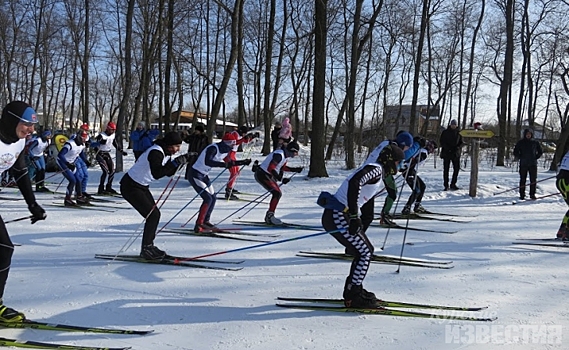 Курские лыжники нашли снег в Губкине