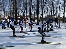 Курские лыжники нашли снег в Губкине
