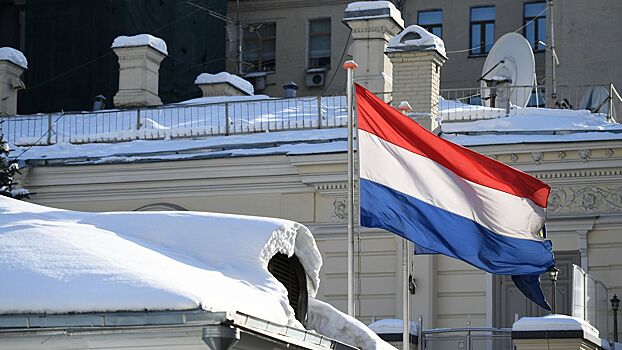 Нидерланды приняли решение по антироссийским санкциям