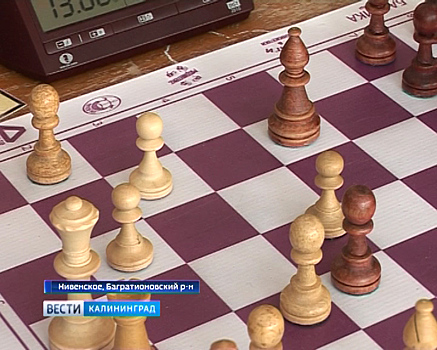 В Нивенском состоялся областной шахматный турнир