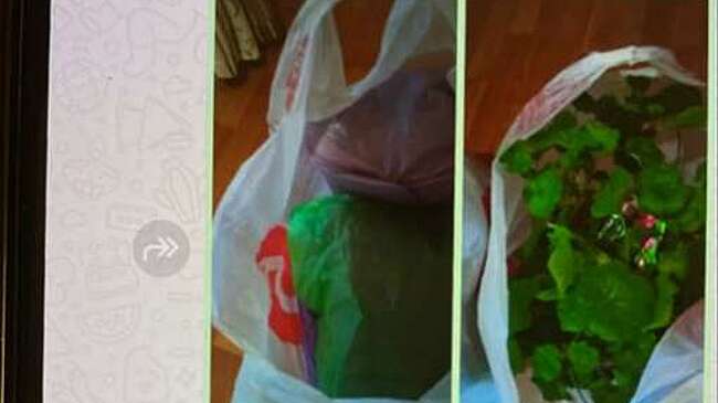 В Тверской области пенсионерка передала мошенникам накопления в цветочном горшке