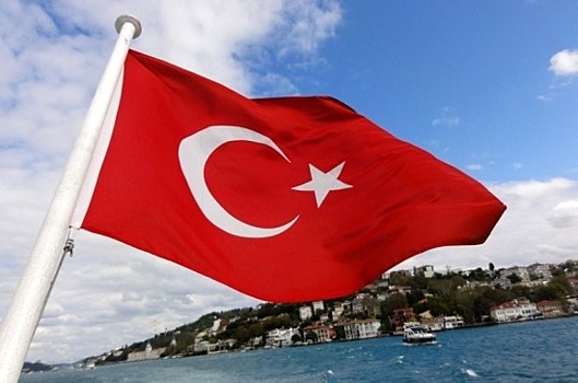 Эксперт рассказал, возможно ли присоединение Турции к БРИКС