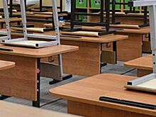 В Химках отстранили учительницу после поножовщины среди учениц