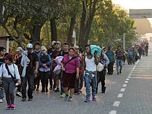 Борьбе Трампа с миграцией предсказали плачевный результат