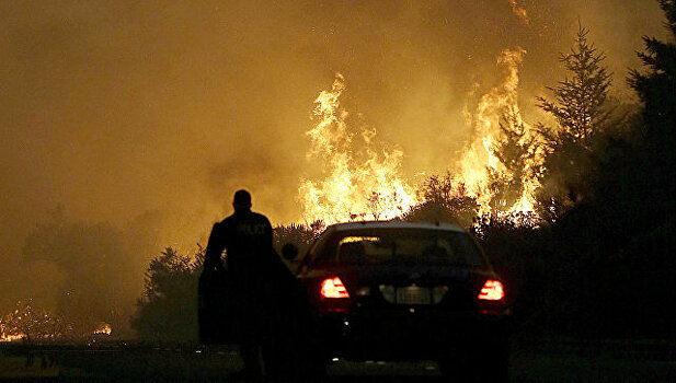 Число жертв пожаров в Калифорнии возросло до 26