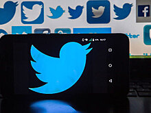 Совет Федерации «взвел курок» против Twitter