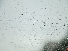 В Москве днём 17 апреля ожидается до +6 °C