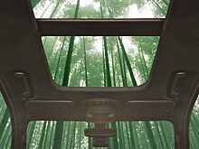 Ford будет использовать бамбук в производстве автомобилей
