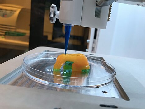 Создан 3D-принтер, печатающий человеческие органы
