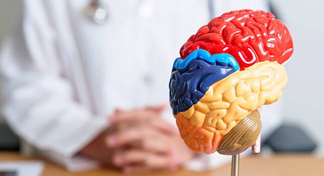 Исследователи узнали, как нехватка кислорода влияет на мозг у пожилых