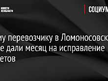 Новому перевозчику в Ломоносовском районе дали месяц на исправление недочетов