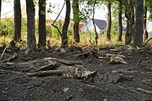Краснодарцы устроили пикет против вырубки деревьев под строительство храма