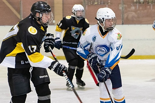 12 и 13 июня в ледовом дворце «Орбита» состоится турнир по хоккею