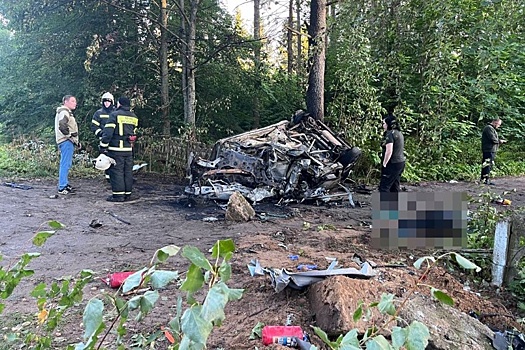 Четыре человека погибли в ДТП в Тверской области