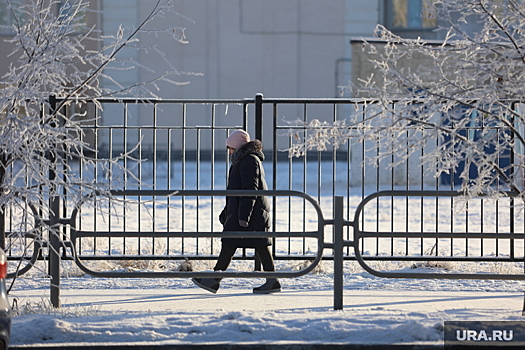 В регионах Центральной России с 17 февраля ожидаются ночные морозы