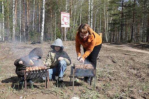 В Нижегородской области набор для шашлыка стоит дешевле, чем в целом по России