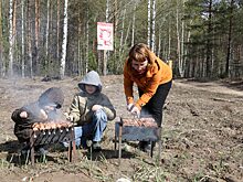 В Нижегородской области набор для шашлыка стоит дешевле, чем в целом по России