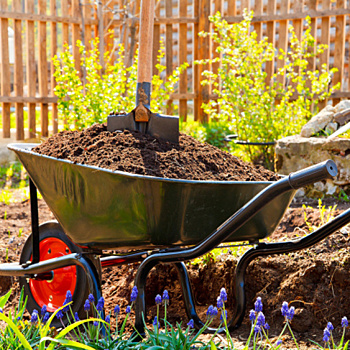 Что важно знать о составе и качестве почвы на вашем участке