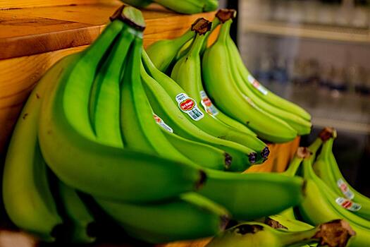 Зеленые бананы могут спасти от смертоносной болезни