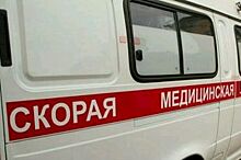 В Прикамье скорой помощи пришлось добираться до пациента с помощью трактора