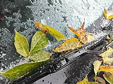 Москва установила новый погодный рекорд