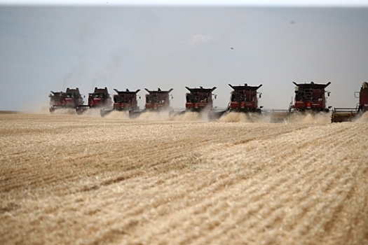 Волгоградская область выполнила продовольственную задачу Президента