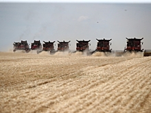 Волгоградская область выполнила продовольственную задачу Президента