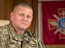 Разногласия между президентом Украины Зеленским и главкомом ВСУ Залужным назвали фейком