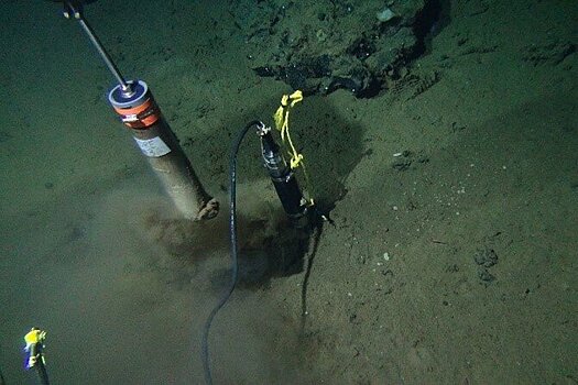 "Невозможная" форма жизни найдена под морским дном