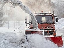 Стало известно, когда защитник «Бенфики» Конти пройдёт медосмотр для «Локомотива»