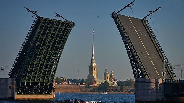 Спасатели предупредили о сильном ветре в Петербурге