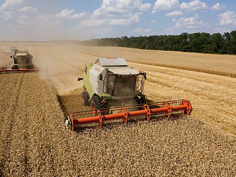 Цены на пшеницу бьют рекорды в Европе