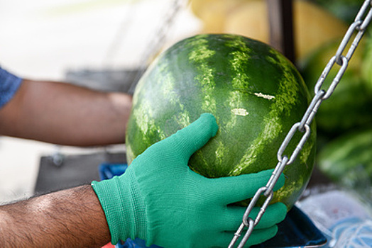 Врач дала совет тем, кто боится есть арбузы после смертельного отравления семьи в Москве