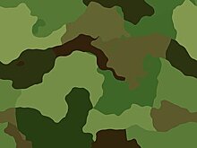 Военно-спортивную игру проведут в Печатниках