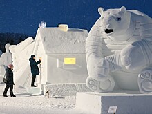 Где искать бюджетные направления в России в 2026 году