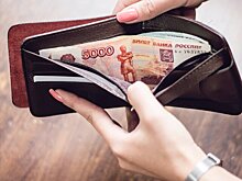 Политолог оценил предложение ввести новое условие для выдачи микрозаймов