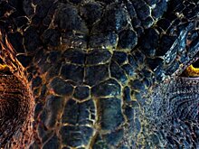 Фильм "Он - дракон" отправится покорять зрителей в Китай