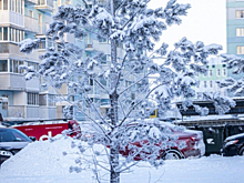 Лютый февраль: Новосибирск пережил аномальный мороз в -47 градусов