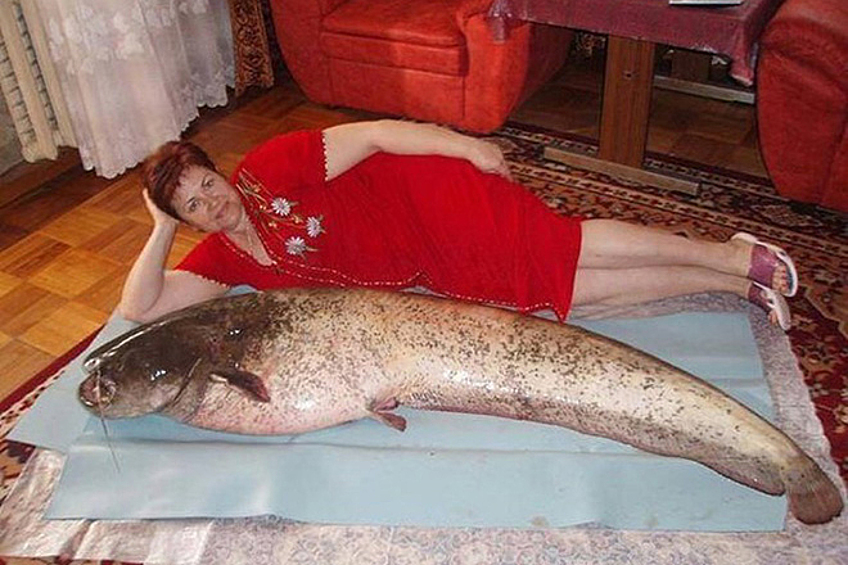 Рыба чьей-то мечты в ожидании принца, желания которого она сможет исполнить.