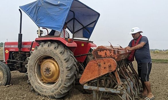 6,6 тонн пшеницы с гектара собрал индийский фермер-чемпион на поле с нулевой технологией