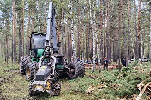 Лесная отрасль Новосибирской области переходит на высокие технологии