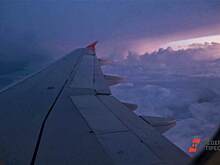 Turkish Airlines на месяц приостановят полеты из Екатеринбурга