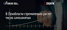 В Ленобласти стремительно растет число самозанятых